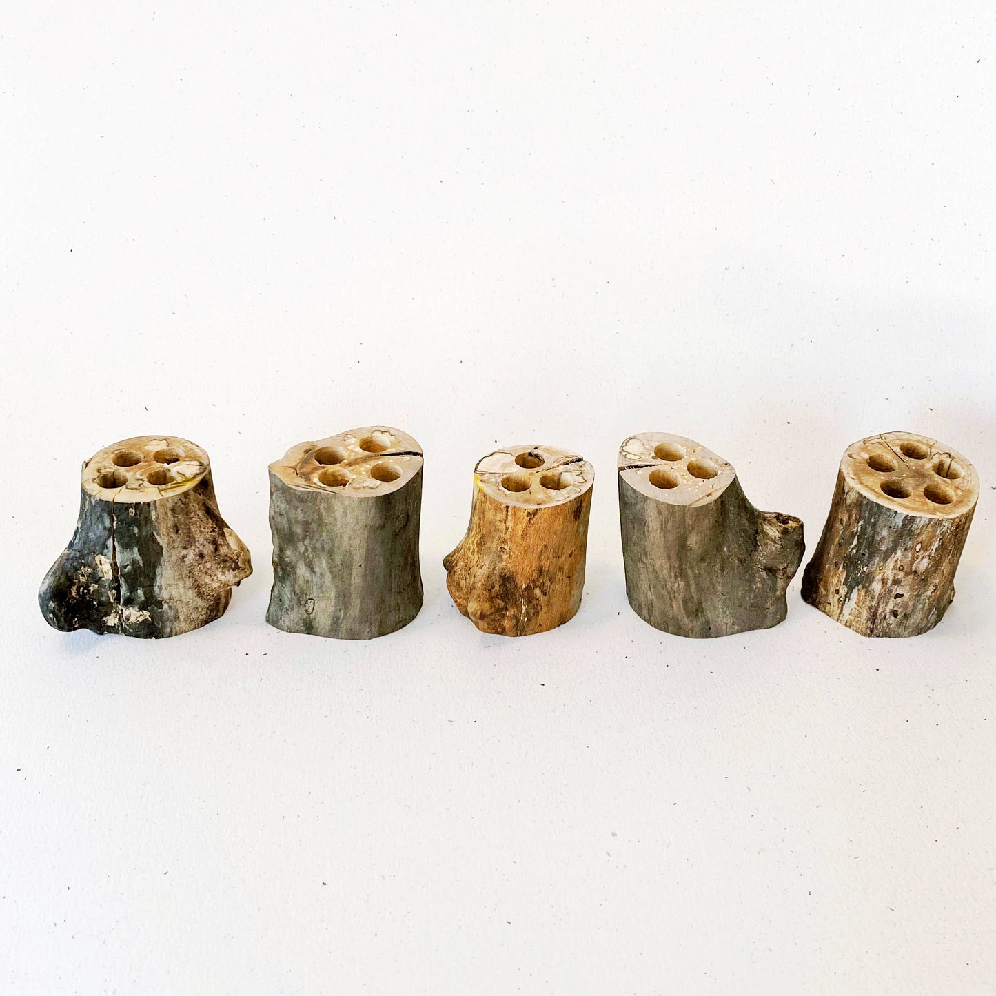 Beam Paints Pencil Holders