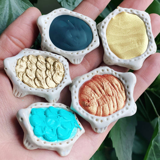 Beam Paints Turtle Gift Set