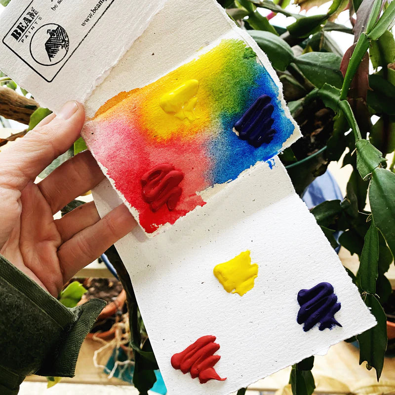 Beam Paints Travel Cards - Assorted Styles